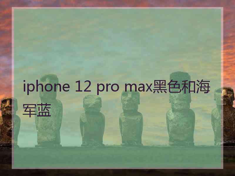 iphone 12 pro max黑色和海军蓝