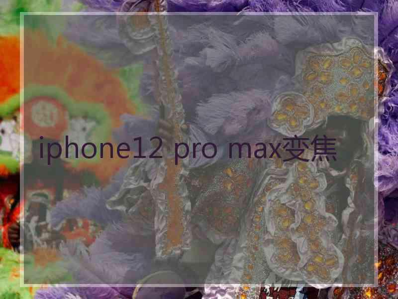 iphone12 pro max变焦