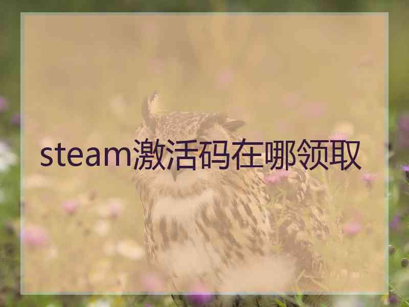 steam激活码在哪领取