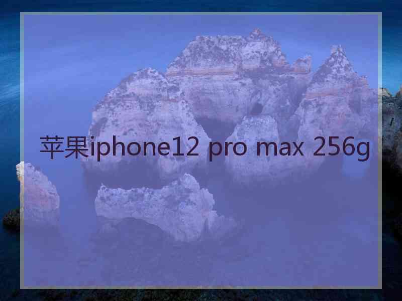 苹果iphone12 pro max 256g