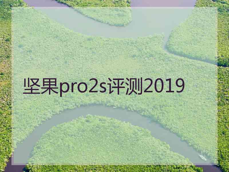 坚果pro2s评测2019