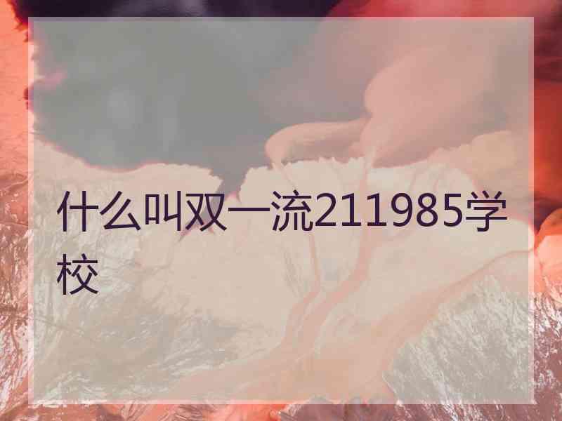 什么叫双一流211985学校