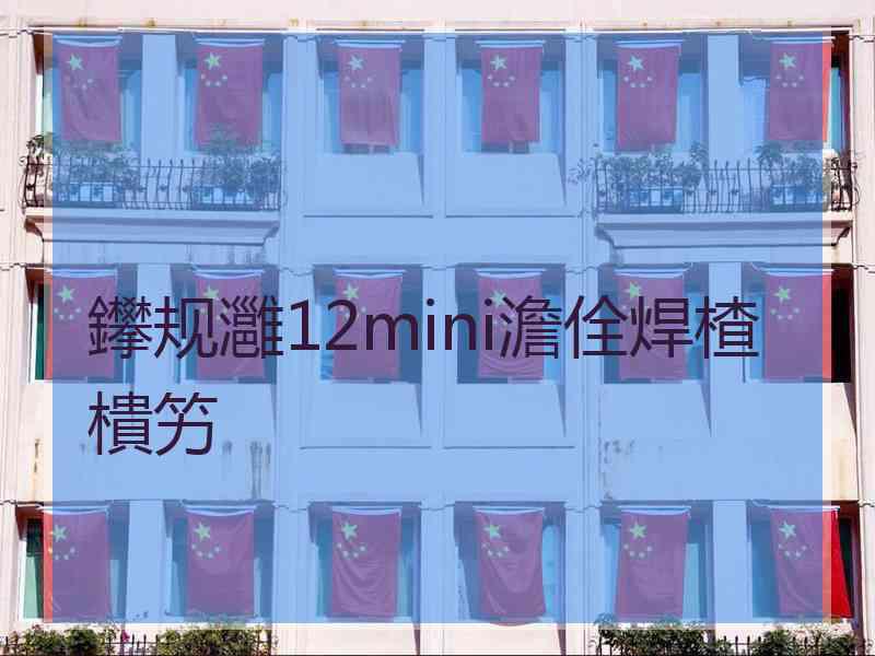 鑻规灉12mini澹佺焊楂樻竻