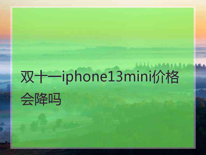 双十一iphone13mini价格会降吗