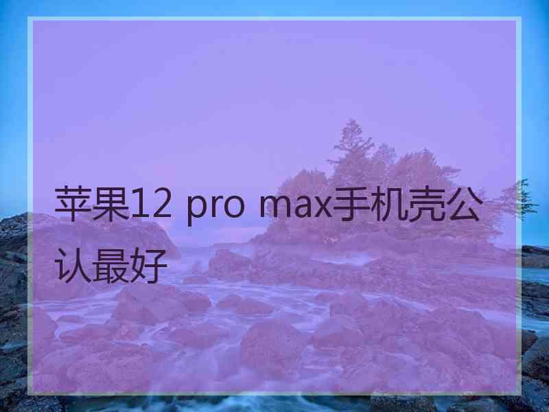 苹果12 pro max手机壳公认最好