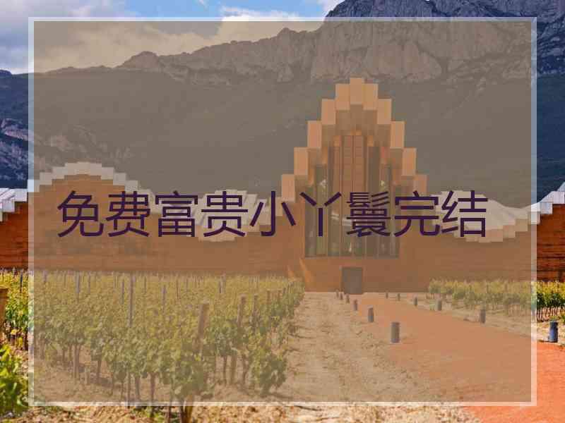 免费富贵小丫鬟完结