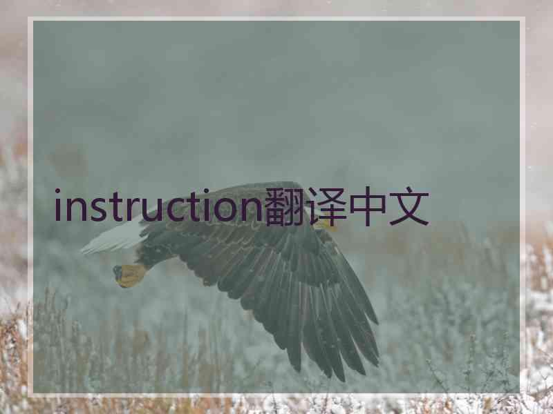 instruction翻译中文