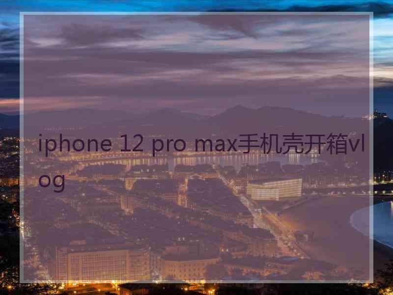 iphone 12 pro max手机壳开箱vlog