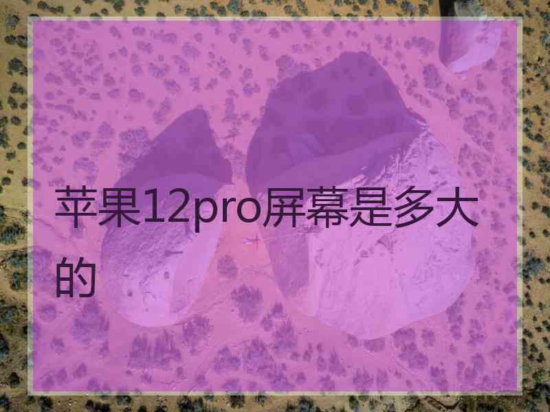 苹果12pro屏幕是多大的