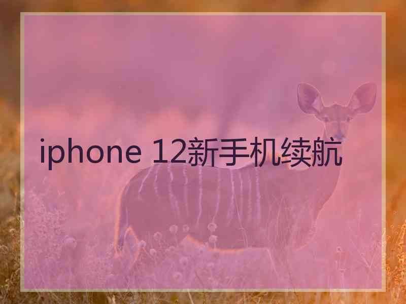 iphone 12新手机续航