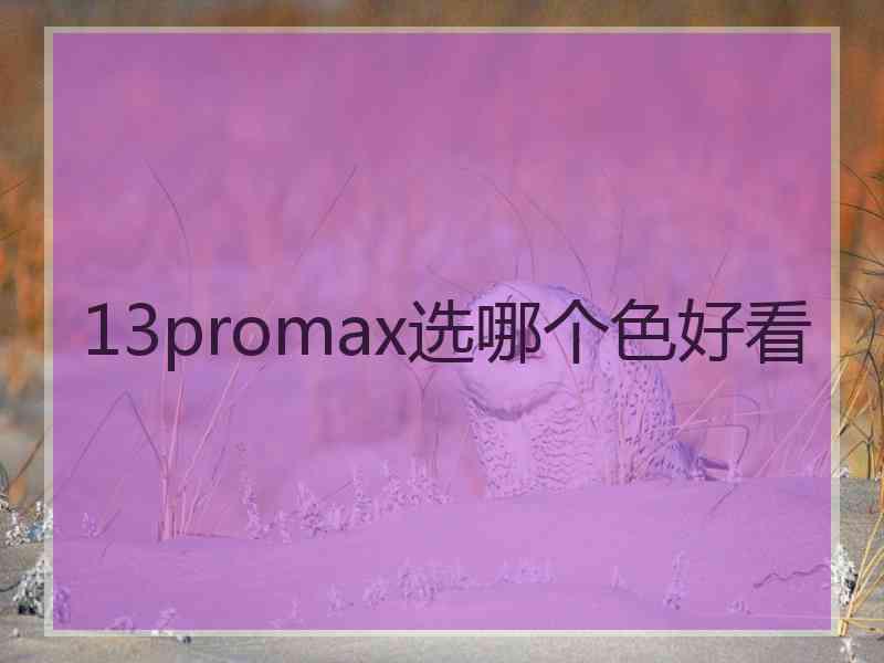 13promax选哪个色好看