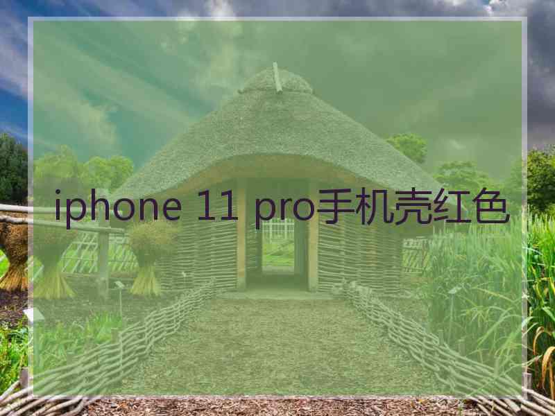 iphone 11 pro手机壳红色