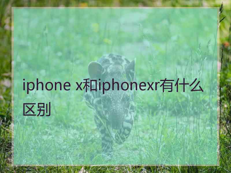 iphone x和iphonexr有什么区别