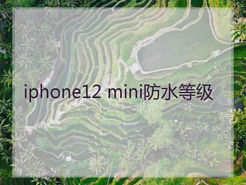 iphone12 mini防水等级