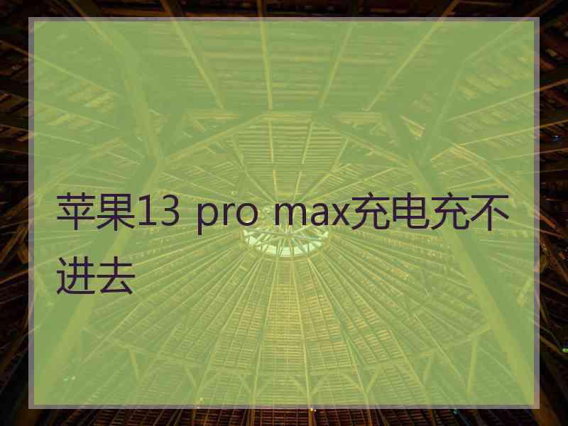 苹果13 pro max充电充不进去