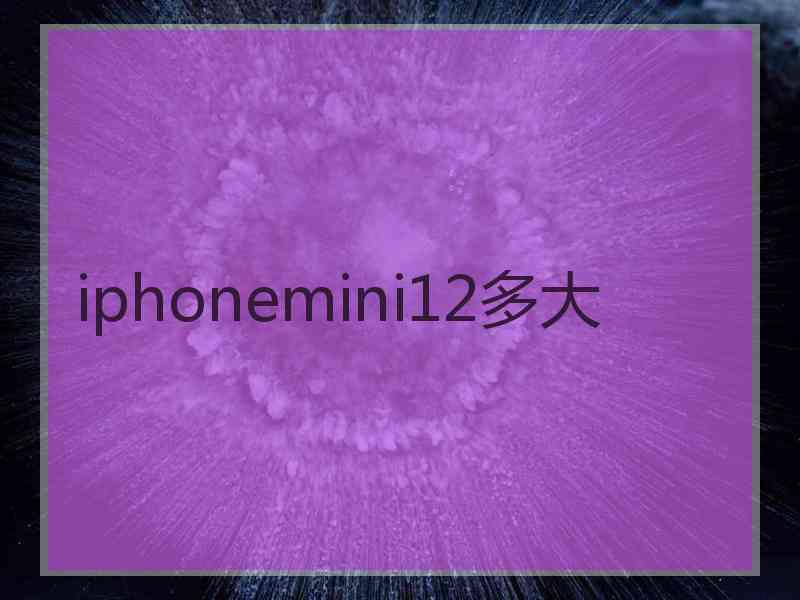 iphonemini12多大