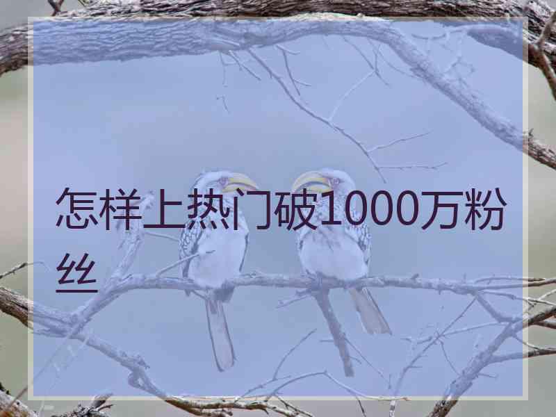 怎样上热门破1000万粉丝