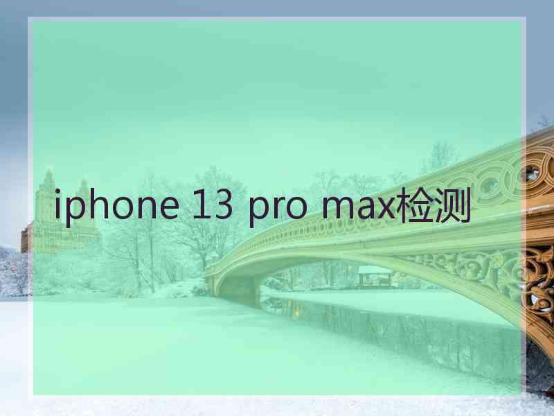 iphone 13 pro max检测