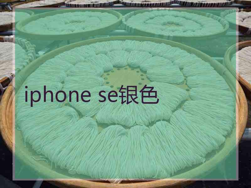 iphone se银色