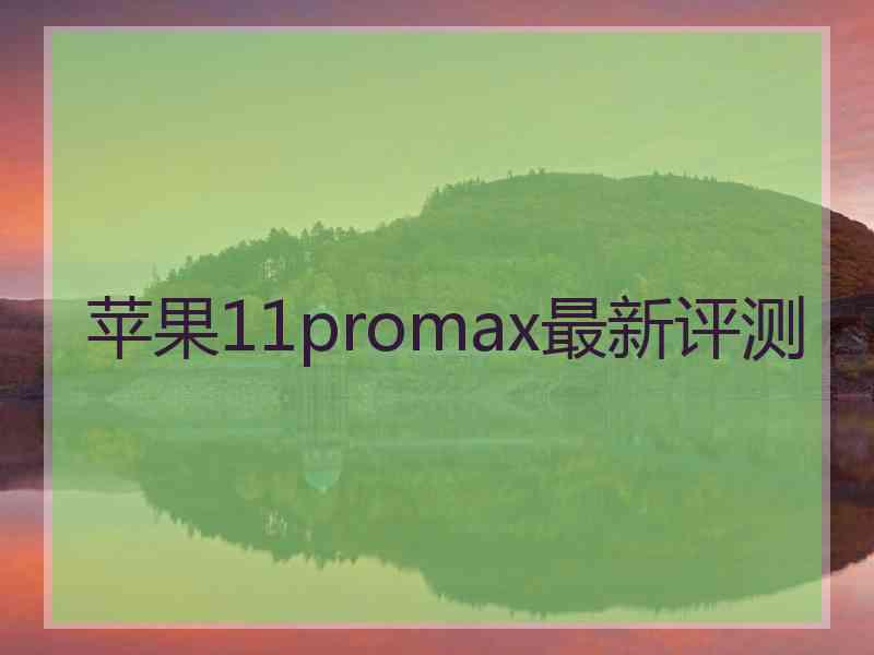 苹果11promax最新评测