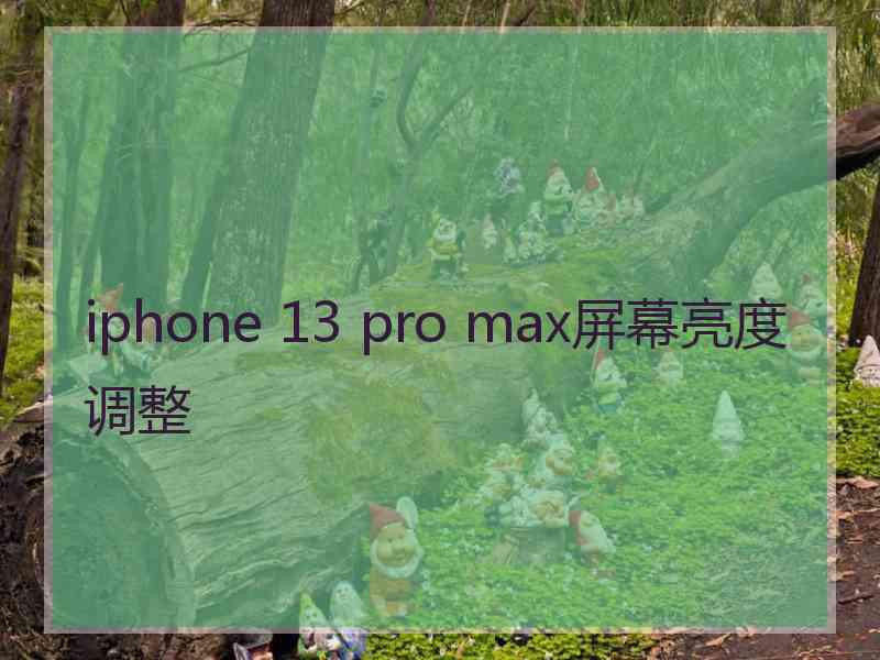 iphone 13 pro max屏幕亮度调整