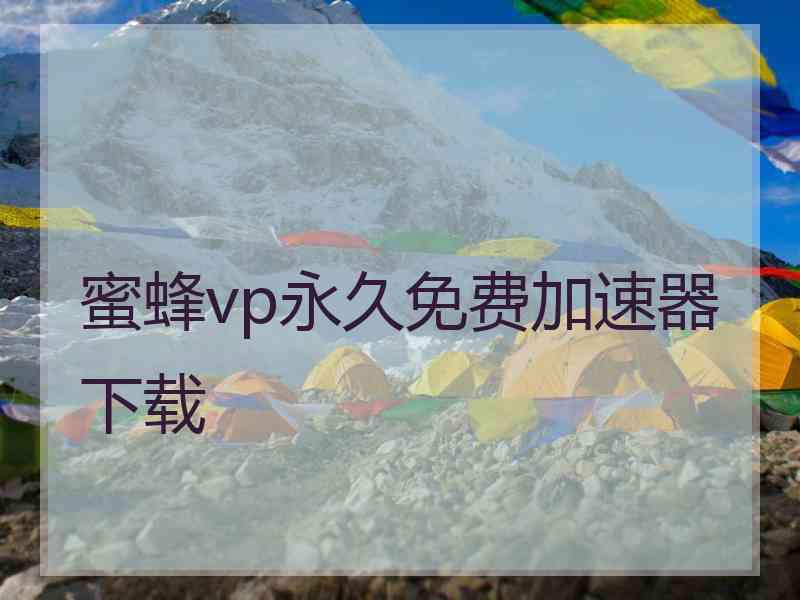 蜜蜂vp永久免费加速器下载