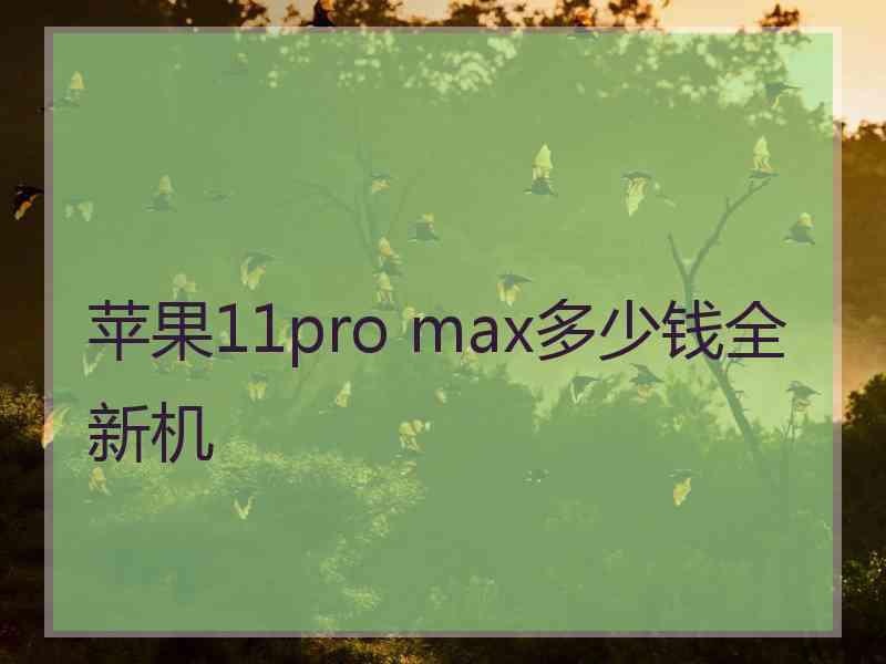 苹果11pro max多少钱全新机