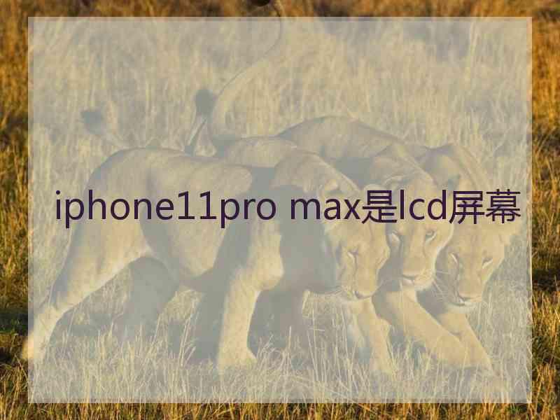 iphone11pro max是lcd屏幕