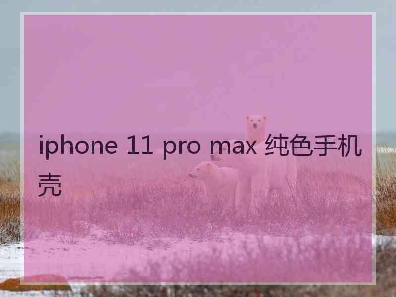 iphone 11 pro max 纯色手机壳