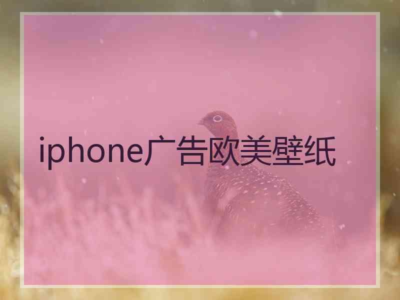 iphone广告欧美壁纸