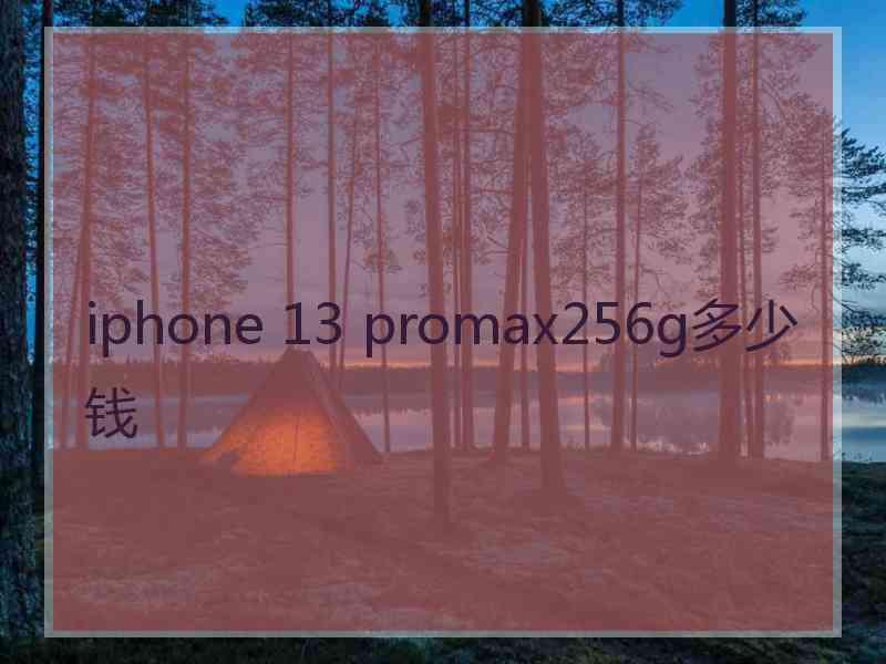 iphone 13 promax256g多少钱