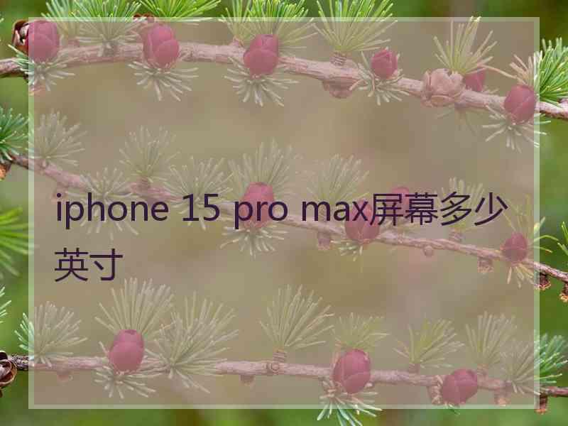 iphone 15 pro max屏幕多少英寸