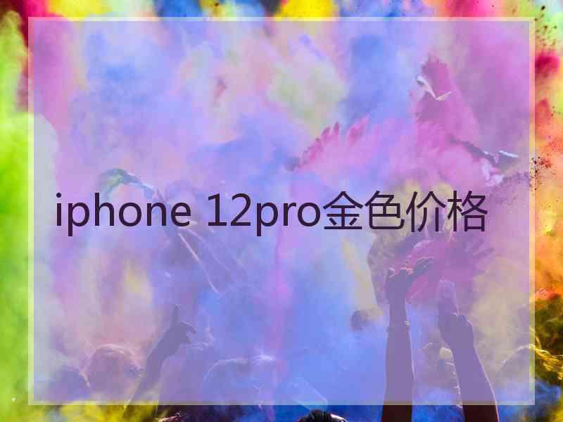 iphone 12pro金色价格