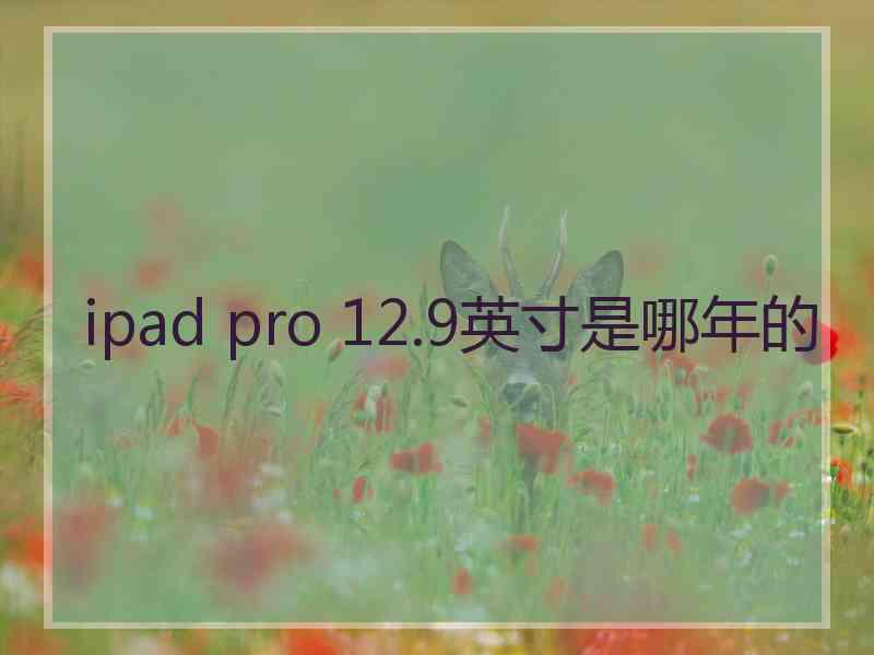 ipad pro 12.9英寸是哪年的