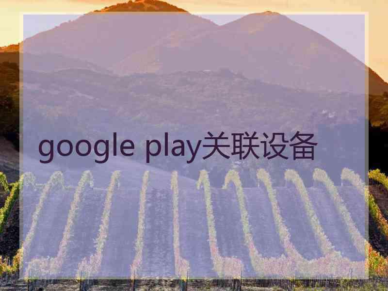 google play关联设备