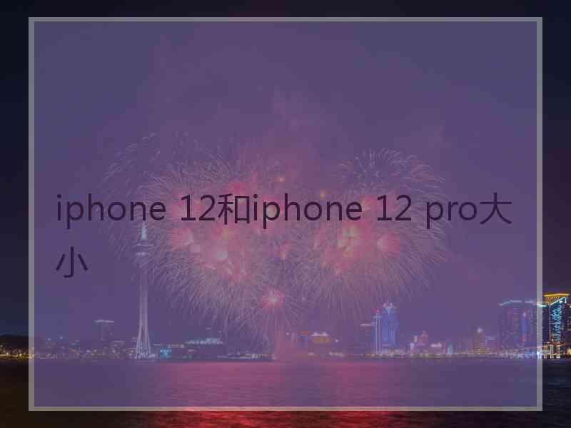 iphone 12和iphone 12 pro大小