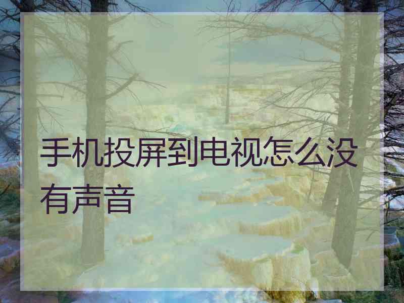 手机投屏到电视怎么没有声音