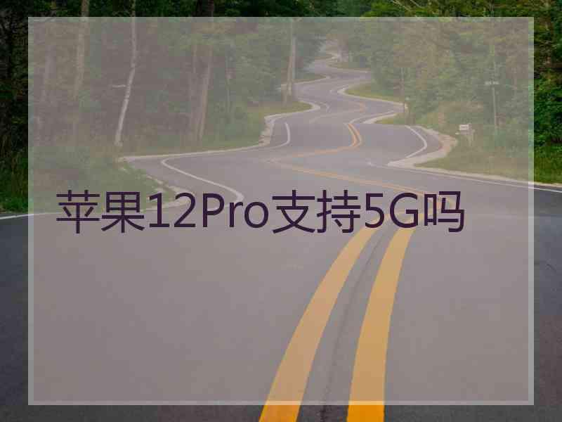 苹果12Pro支持5G吗