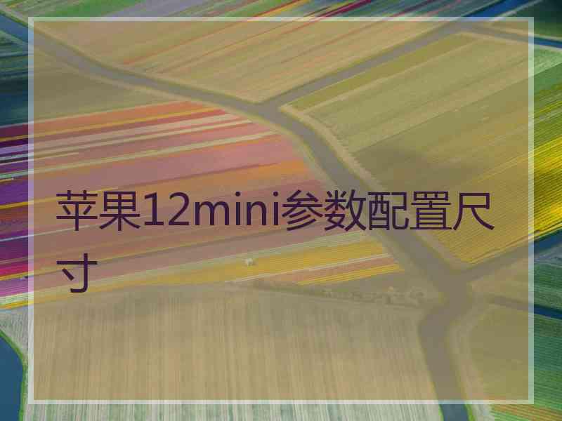 苹果12mini参数配置尺寸