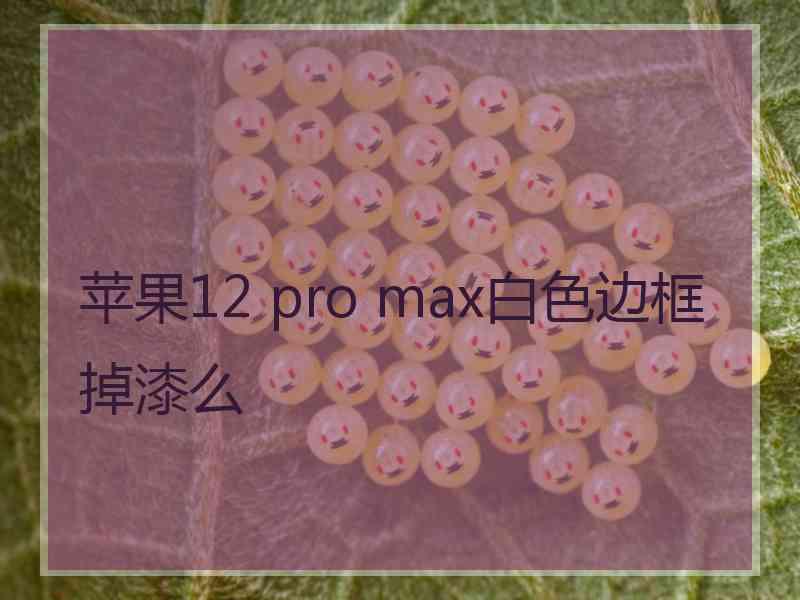 苹果12 pro max白色边框掉漆么