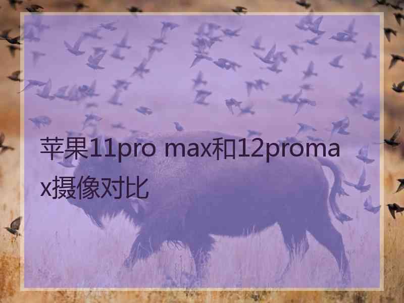 苹果11pro max和12promax摄像对比