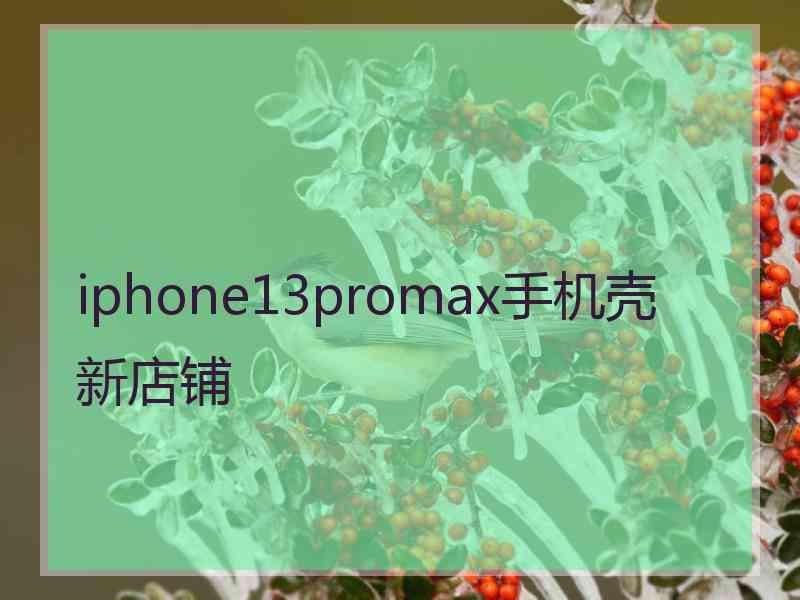 iphone13promax手机壳 新店铺