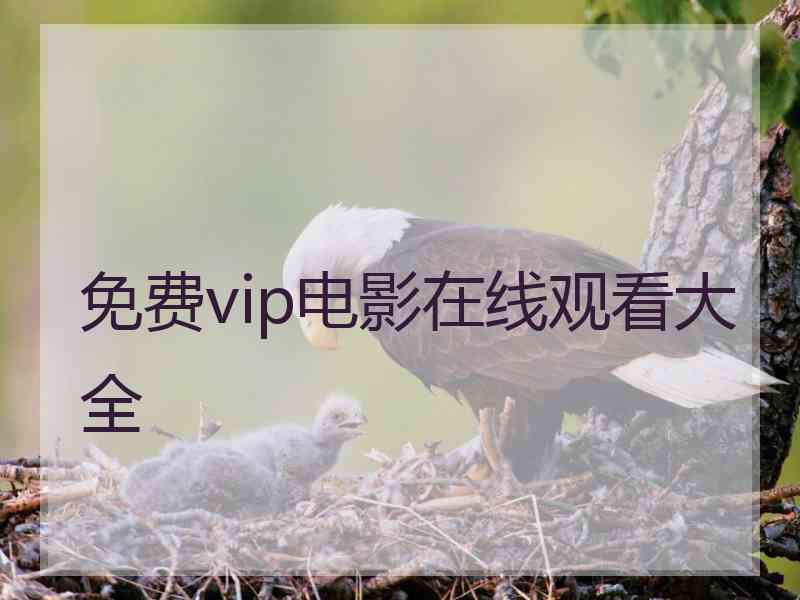 免费vip电影在线观看大全