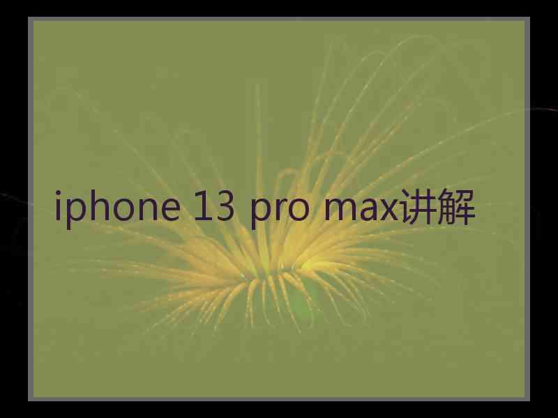 iphone 13 pro max讲解