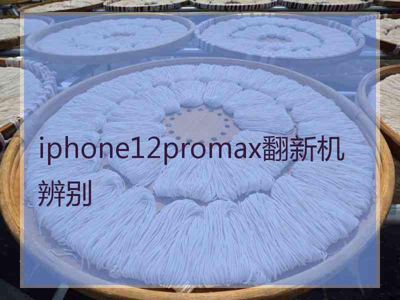 iphone12promax翻新机辨别