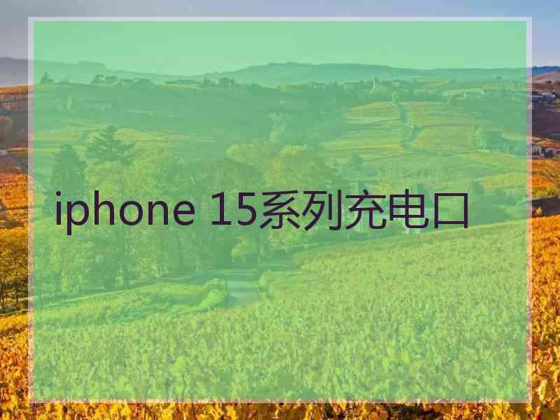 iphone 15系列充电口