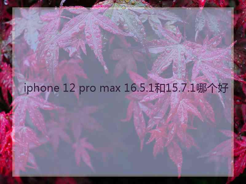 iphone 12 pro max 16.5.1和15.7.1哪个好