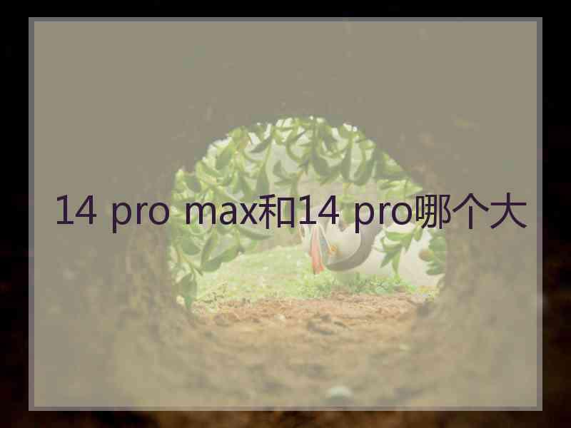 14 pro max和14 pro哪个大