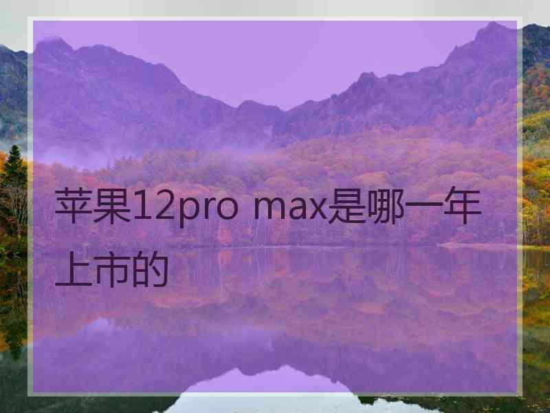 苹果12pro max是哪一年上市的