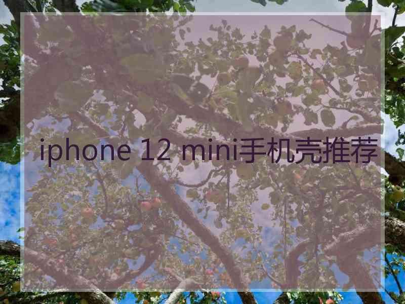 iphone 12 mini手机壳推荐